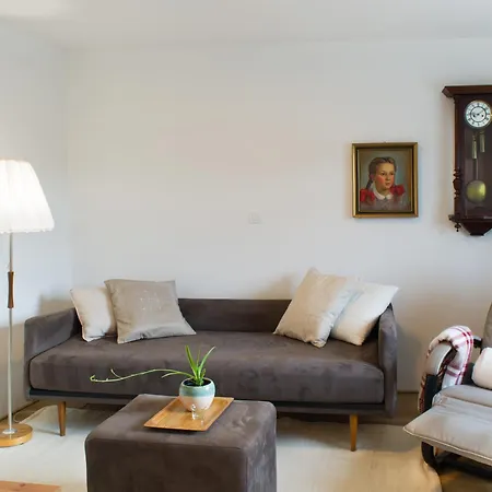 Tonkina Hisa Holiday home *