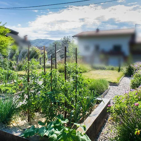 Holiday home Tonkina Hisa
